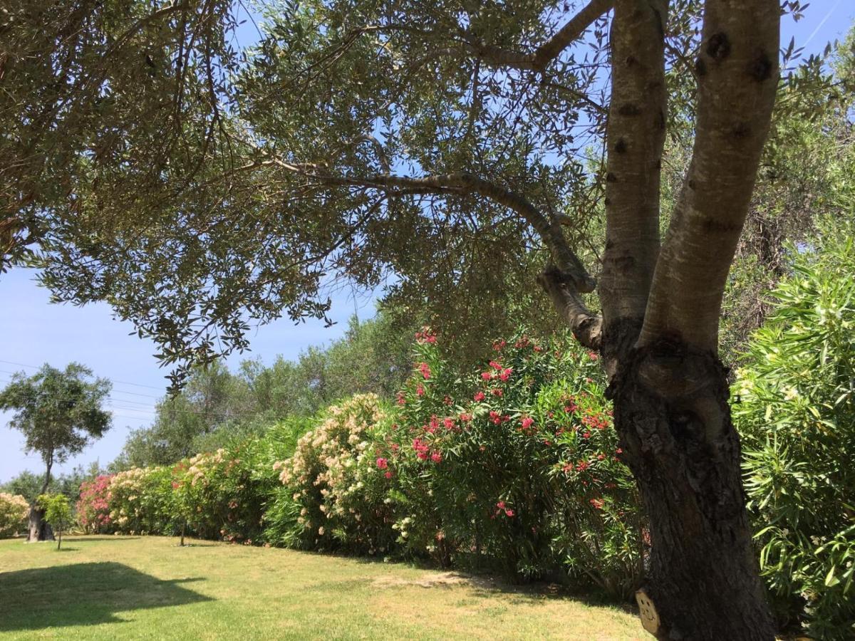 Villa Gecko, Arillas Kavvadades Exteriér fotografie