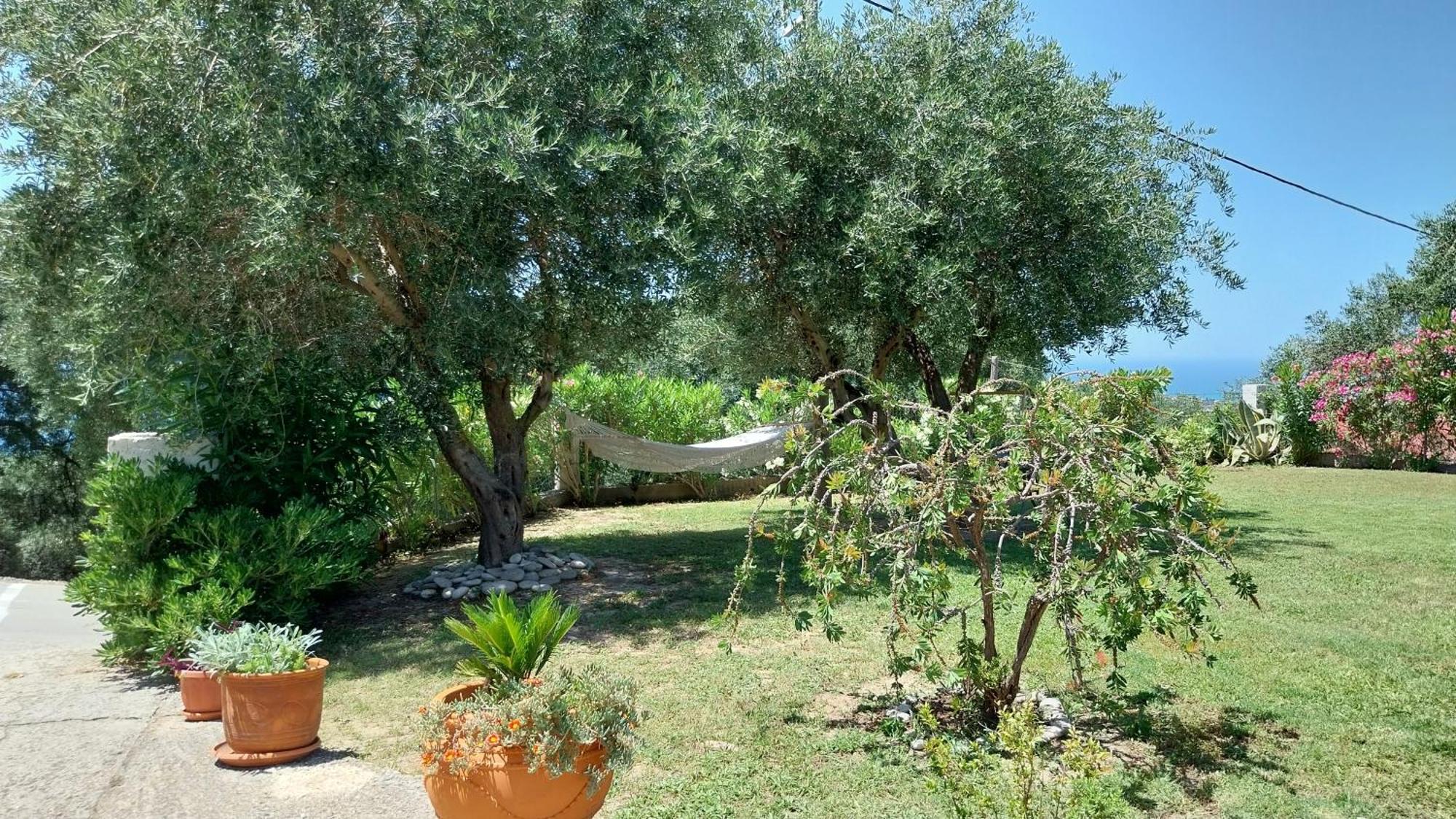 Villa Gecko, Arillas Kavvadades Exteriér fotografie